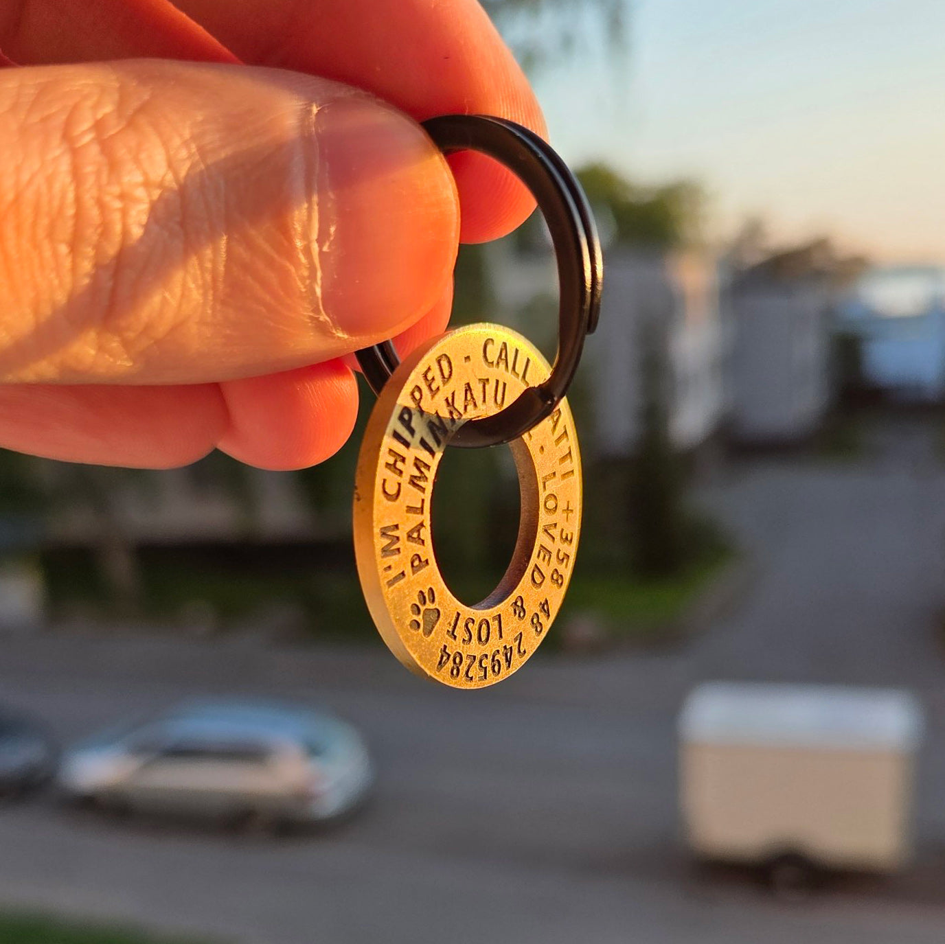 Brass Donut 30mm